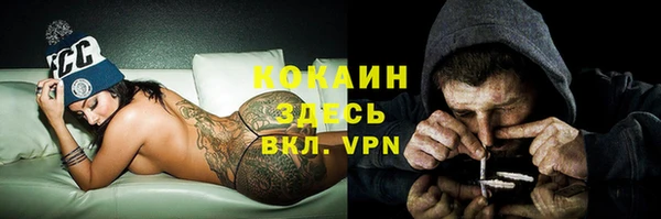 индика Богородицк