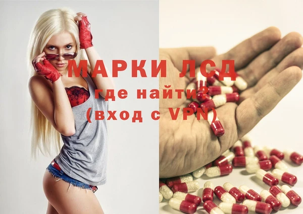 индика Богородицк