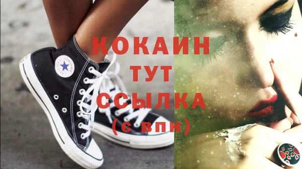 mdpv Бородино