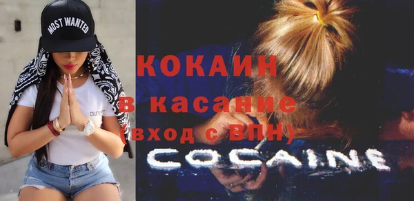 индика Богородицк