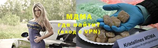 индика Богородицк