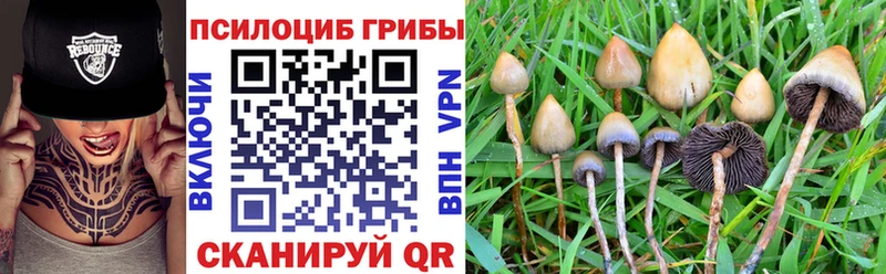 купить наркотик  Мезень  Галлюциногенные грибы Magic Shrooms 